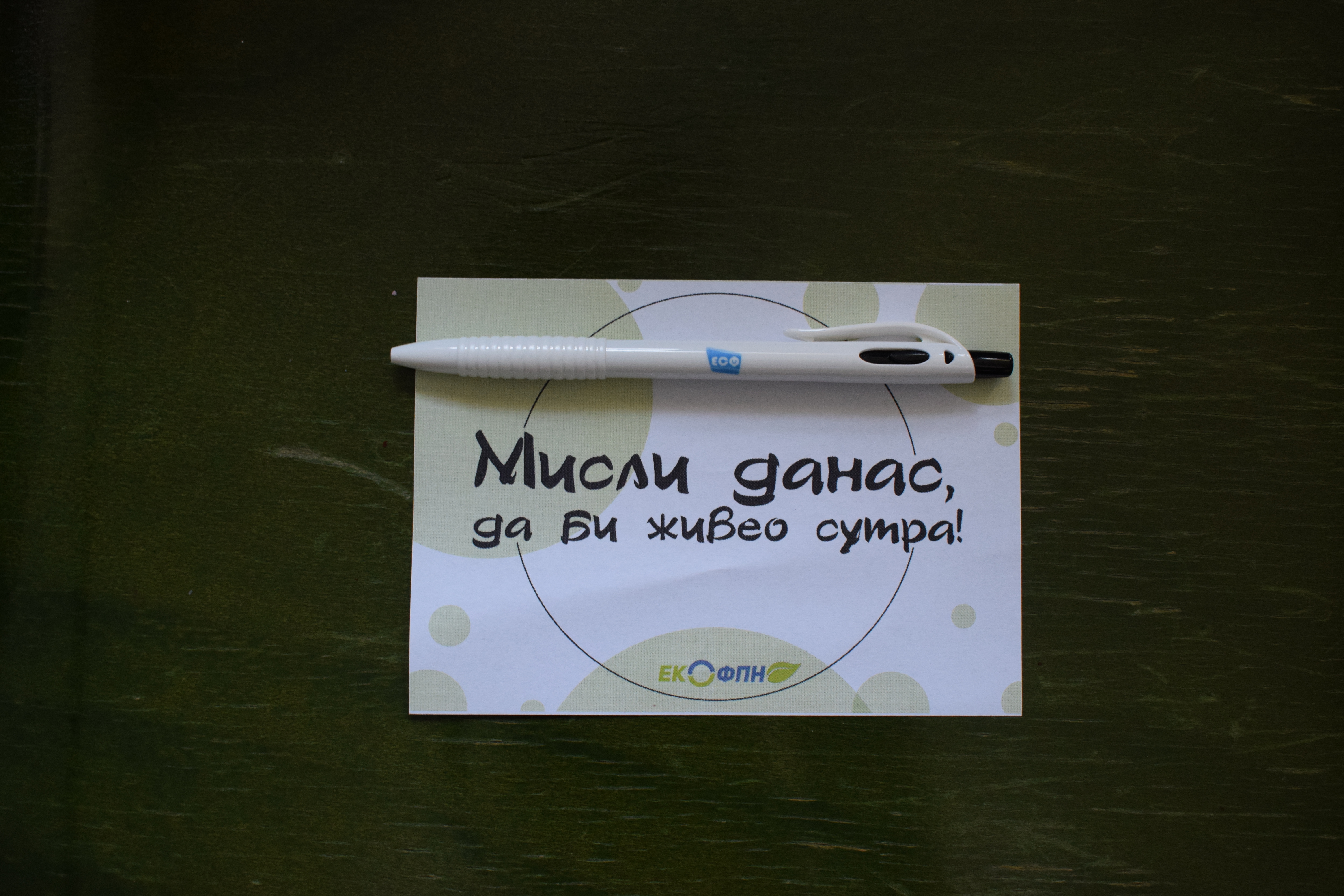 Презентација пројекта ЕКОФПН