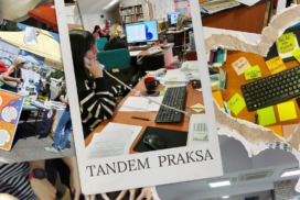 Центар за развој каријере и саветовање студената Универзитета у Београду: Тандем пракса